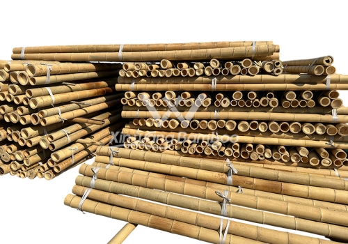  Moso Bamboo Poles2,